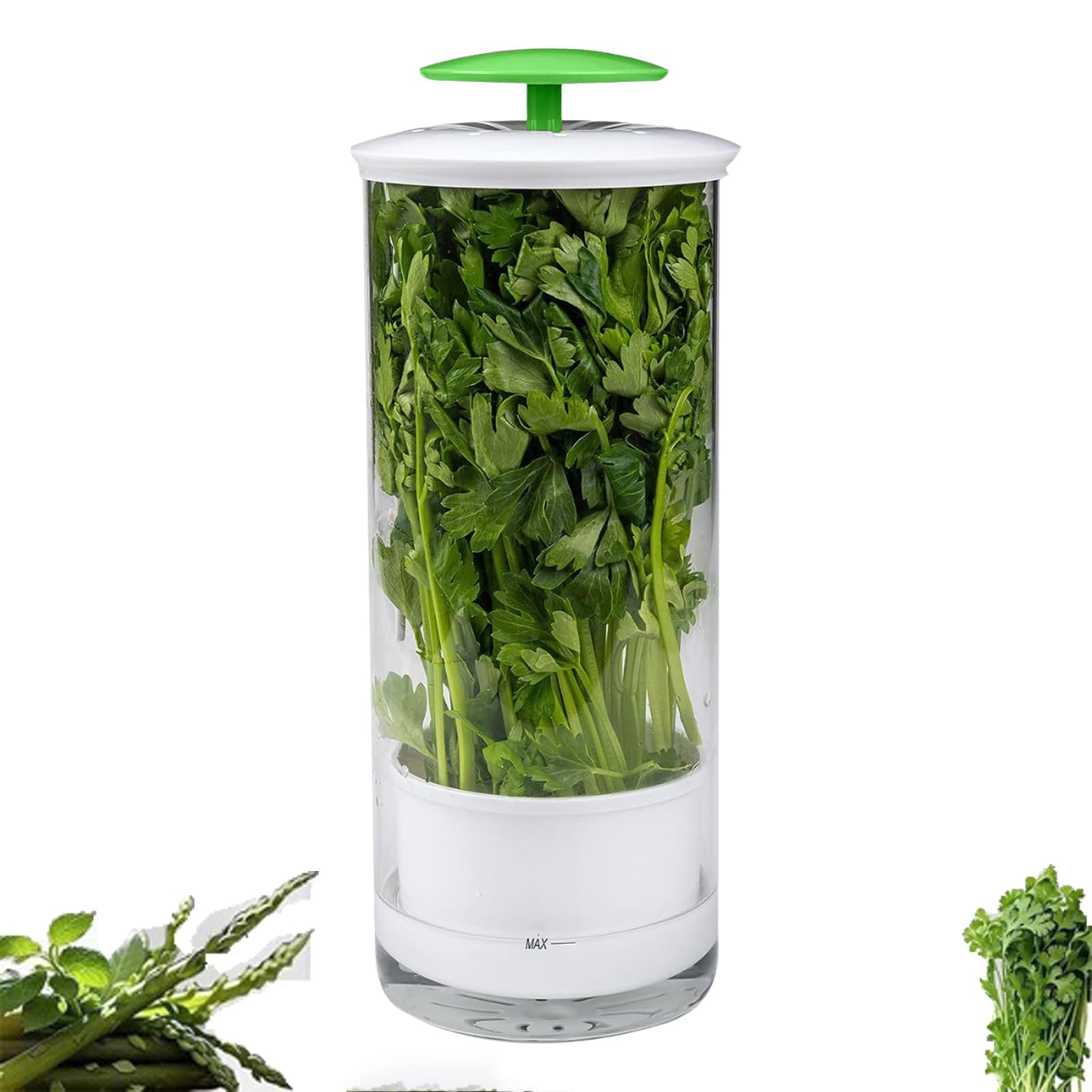KSGSFSA Herb Storage Container for Long-term Vegetable Storage. Sealed Plastic Crisper Box Suitable for Kitchen Storage of Coriander, Parsley and Thyme Tea.