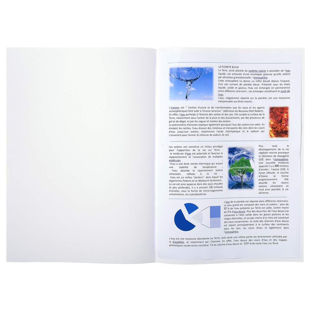 Exacompta - Ref. 820017E - Pack of 100 pleadings 22x31cm - White, Blanc, A4 - Image 2