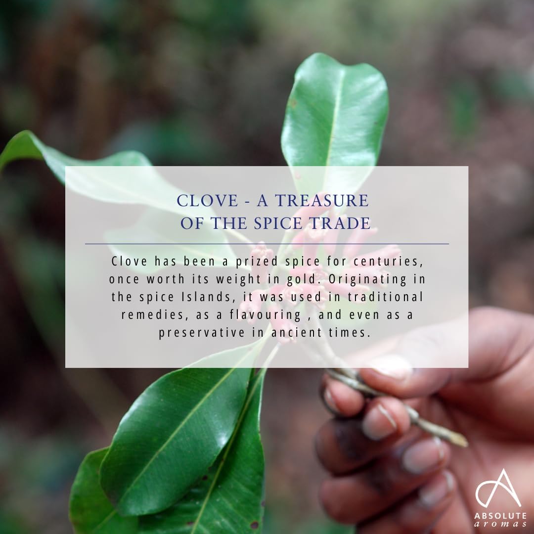 Absolute Aromas Clove Essential Oil 10ml