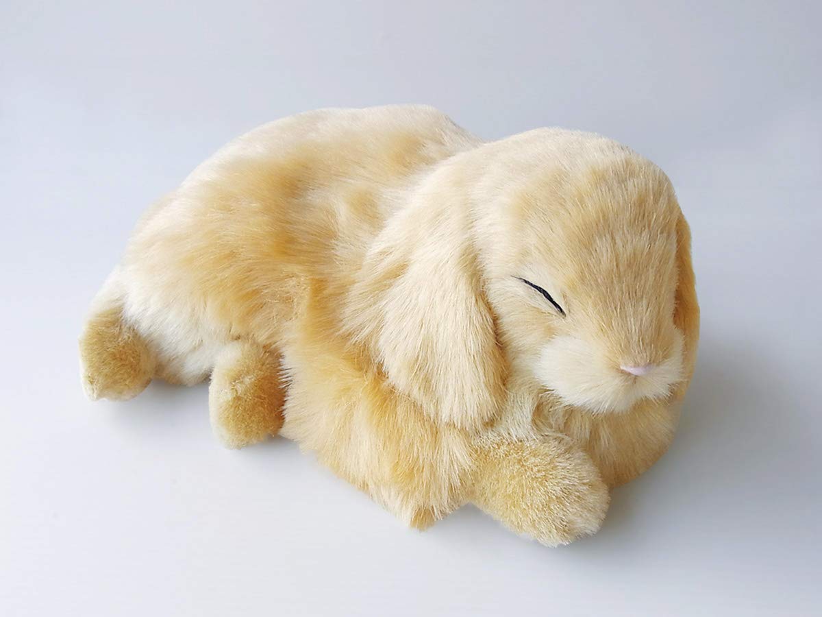 Amazon.co.jp: ニニアンドキノ パーフェクトペット (小サイズ) ウサギ