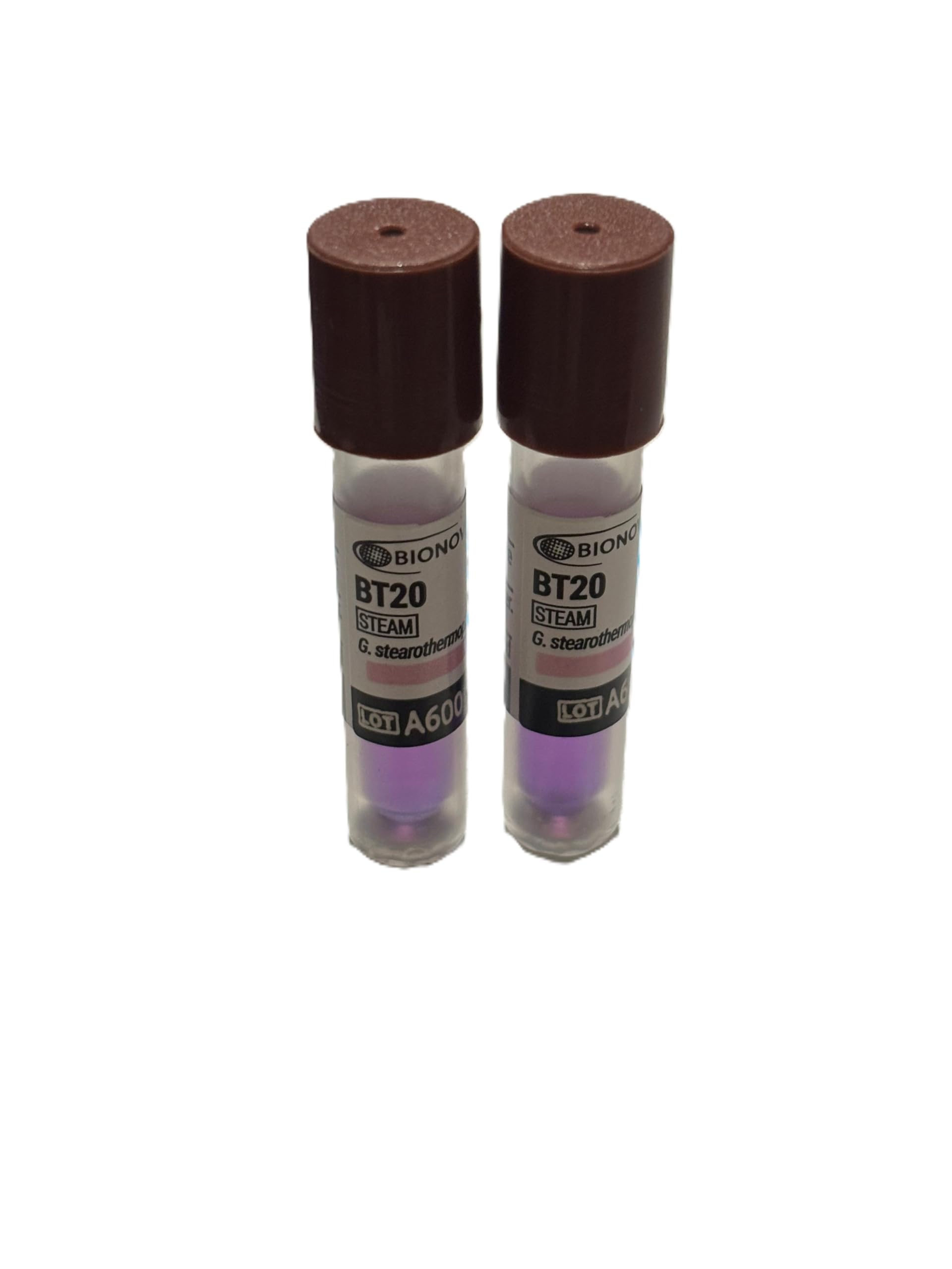 BT20 Biological Indicator for Steam Sterilisation, G. Stearothermophilus, Pack of 5-image-45