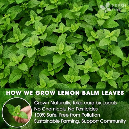 Image of FreshDrinkUS, Premium 120 Lemon Balm Leaf Tea Bags, 100% Natural & Pure from Lemon Balm Leaves. Loose Leaf Herbal Te. No Sugar, No Caffeine, No Gluten, Vegan.