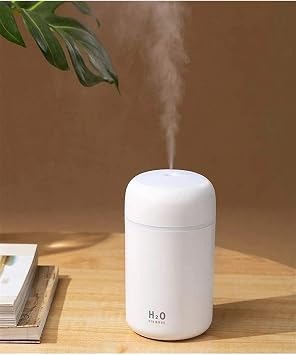 Chermik Ultrasonic Air Humidifier 300 Ml Ambient Humidifier Illuminated Air Humidifier Steam Humidifier