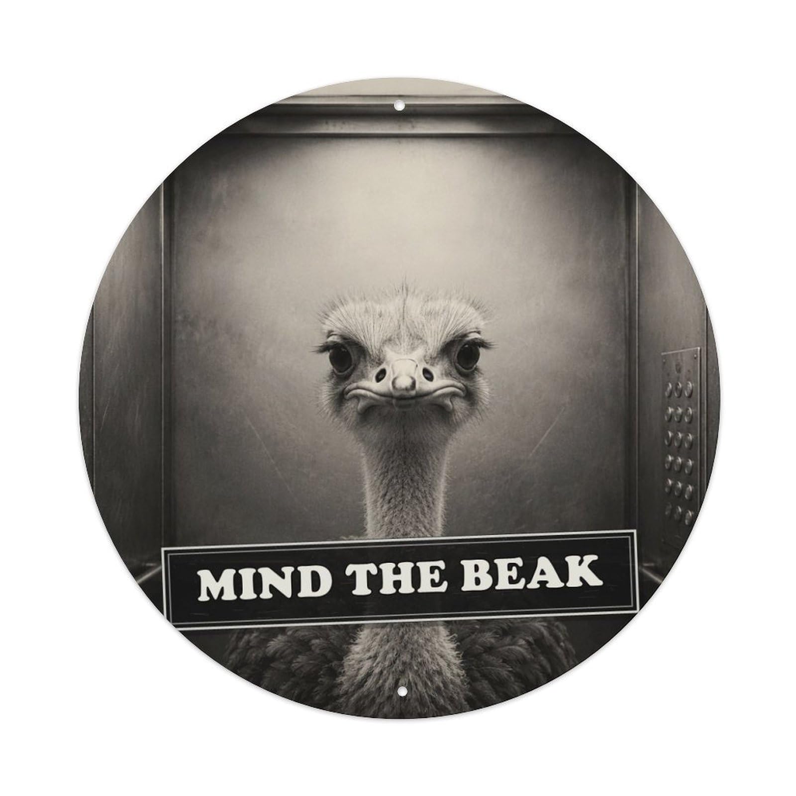 Anthropomorphic Animal Ostrich Elevator Social Satire Humor Fable Metal Tin Sign Plaque Wall Decor for Cafe, Man Cave, Club Bar, Office, Home Garden Round Metal Poster 8x8Inch