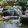 Aquascape Maintain Water Treatment for Pond Dosing System SL, 96090 #4