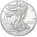 2014-1 Ounce American Silver Eagle Low Flat Rate Shipping .999 Fine Silver Dollar Uncirculated US Mint