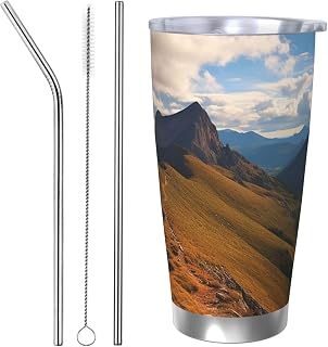 20 oz Tumbler with Straw Lid Vacuum Insulated Cup Stainless Steel Water Bottle Pinnacle Peak Travel Mug Double Walled Vacuum Thermal Cups for Hot and Cold Drinks
