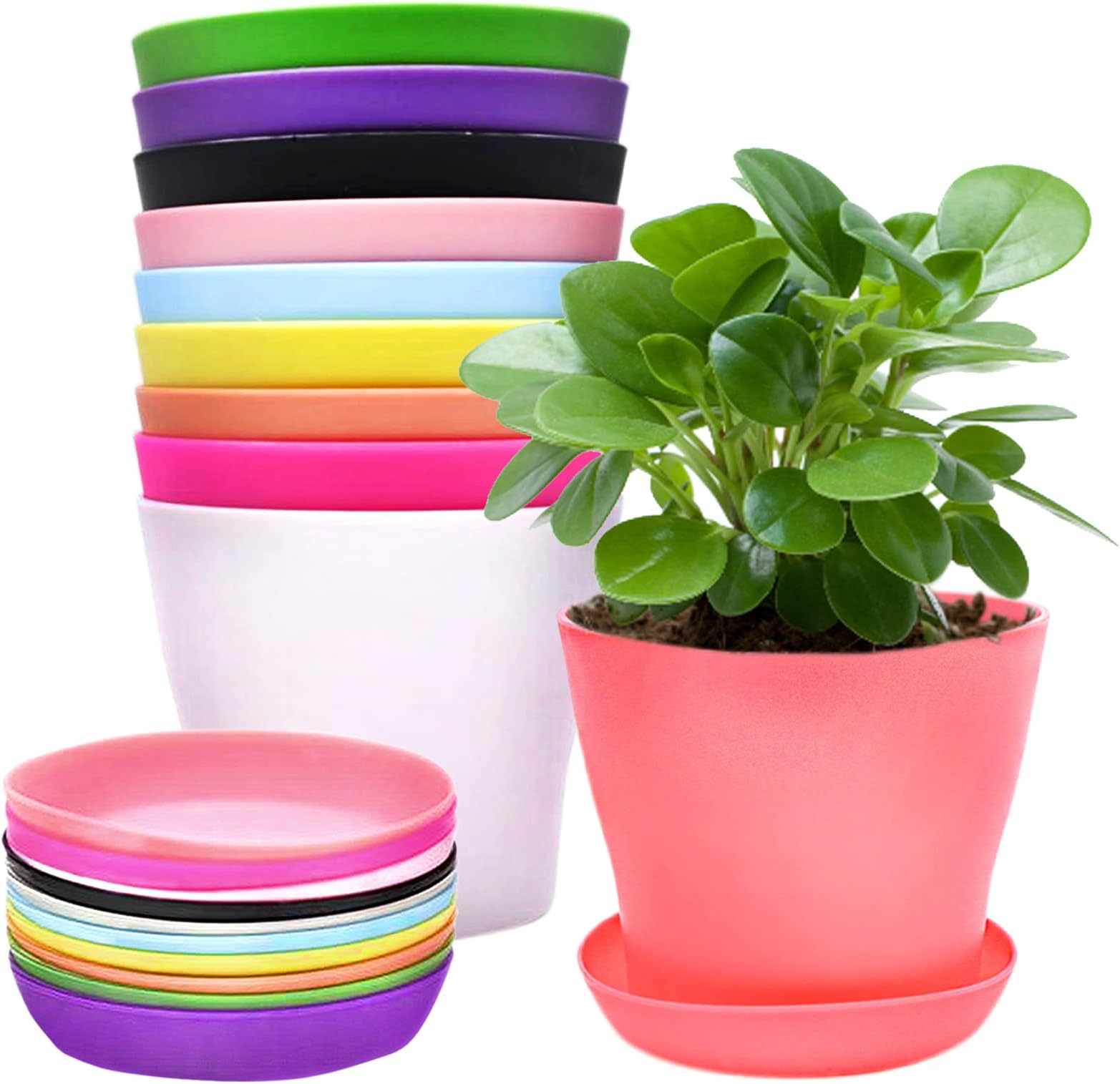 10 Pieces Colorful Plastic Flower Pots Mini Plant Pots Plastic with Drip Trays for Seedlings Miniature Plants for Garden Office Balcony Decoration 10 Colors