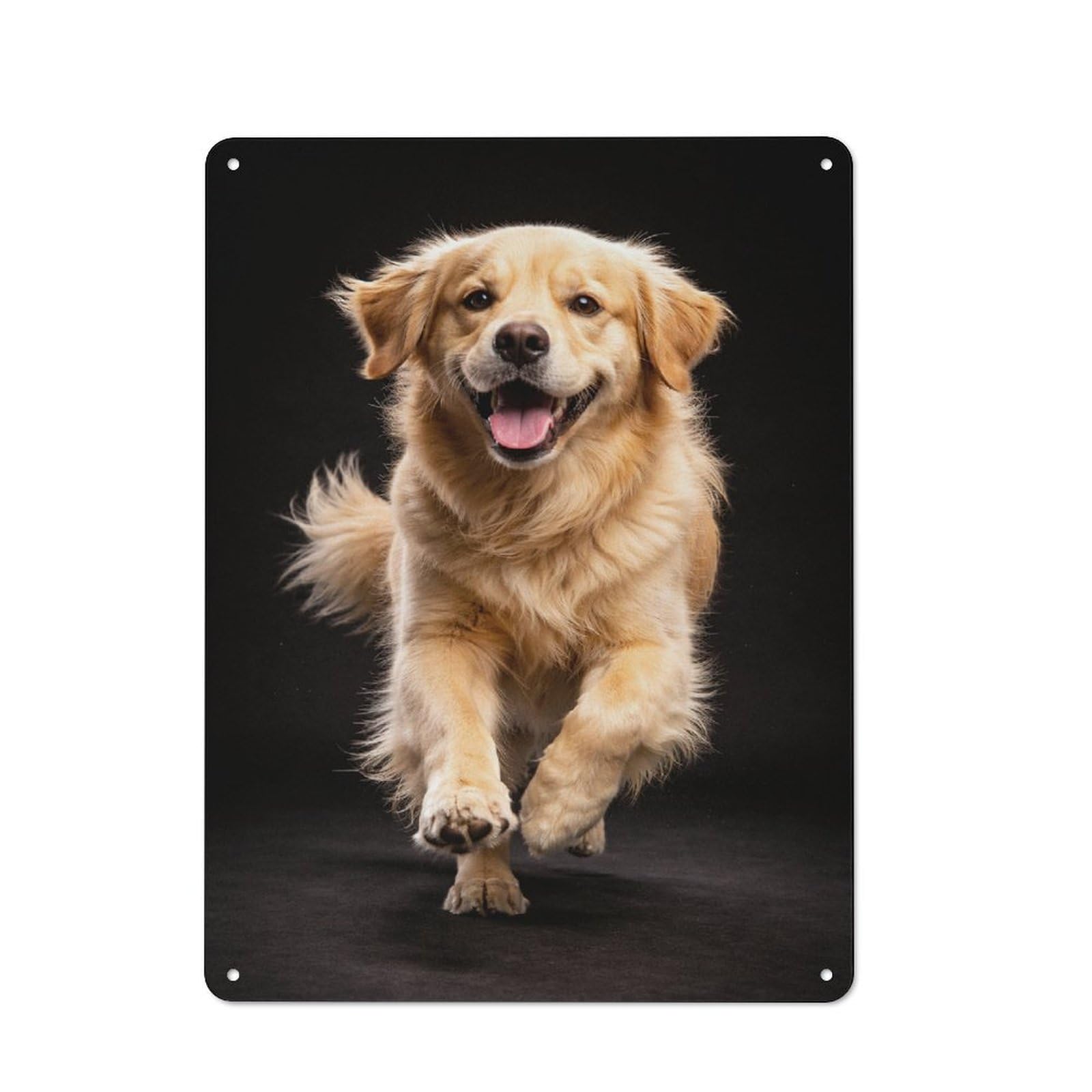 Junmoney Style-19 Cottage Style Happy Golden Retriever Running Decorative Tin Sign 40X30cm, Rustic Kitchen Decor For Kitchen, Cottage, Porch Or Garden Room