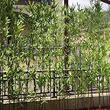 SQXLXDD 5ft Faux Bamboo Plants 12 Pack, Artificial Bamboo Tree with Plastic Leaves, Fake Plant Decor...