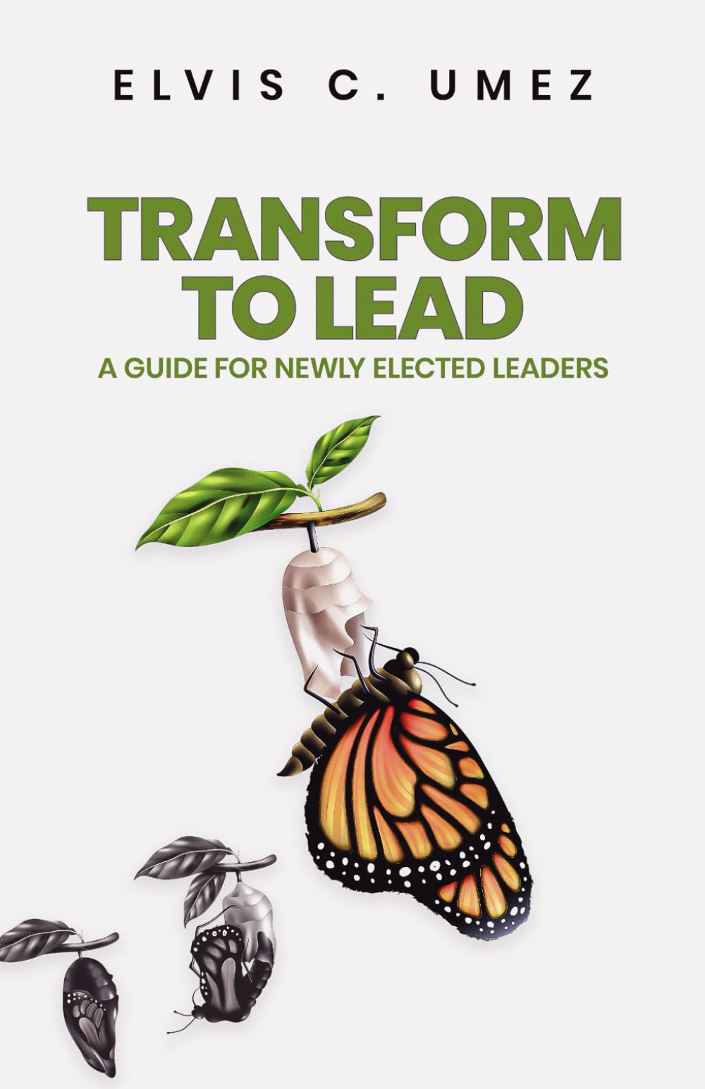 Transform to Lead: A Guide for Elected Leaders