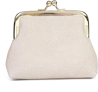 Coin Purse, Kiss Lock Coin Purse for Women, Large Capacity Coin Pouch,Vintage Change Purse Cute Car Coin Holder for Women (1-Off White)