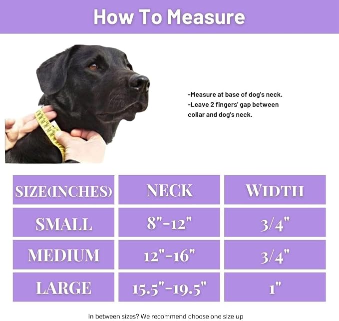Collar impermeable para perro, ajustable, morado S miniatura 9