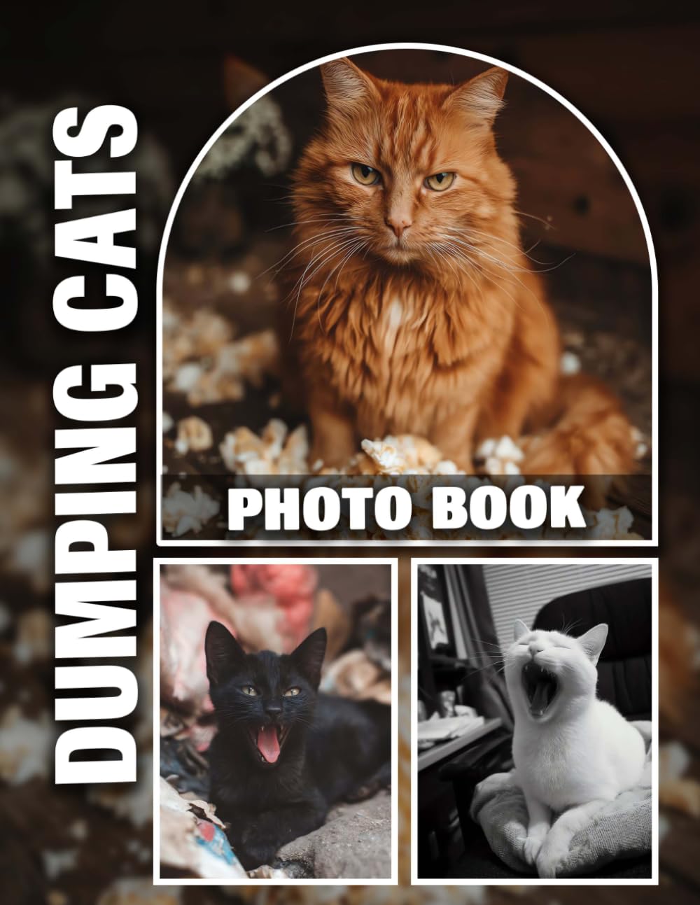 Dumping Cats Photo Book: Heartwarming Stories Of Rescued Felines Through Touching Pictures | A Gift For Animal Lovers And Advocates
