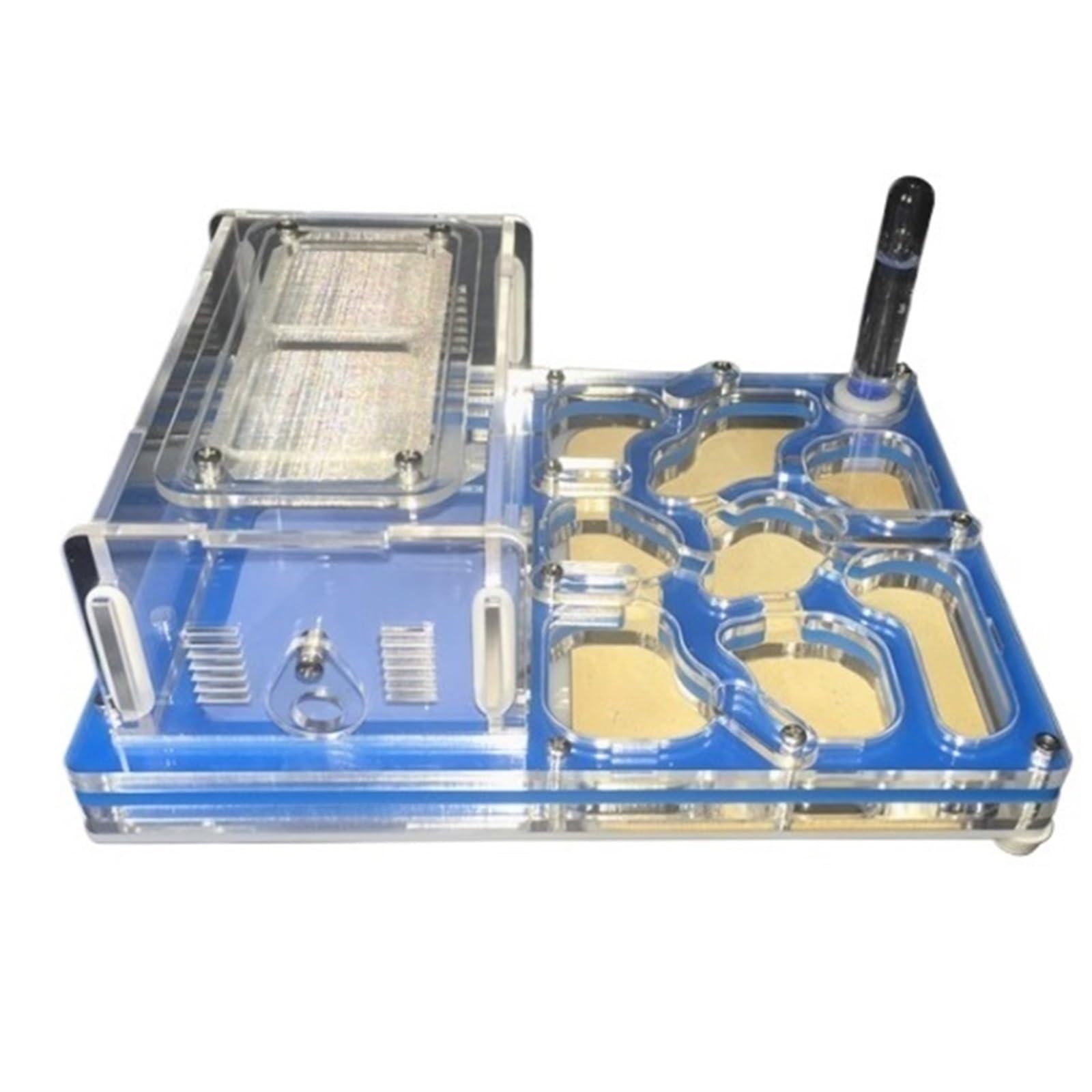 Formicarium Habitat Ameisenburg Nest Ameisenzuchtkasten Ameisenburg Ameisenzucht Ameisennest Farm(Blue)