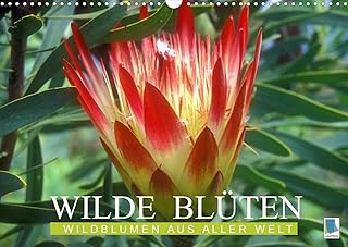 Wilde Blüten: Wildblumen aus aller Welt (Wandkalender 2022 DIN A3 quer)