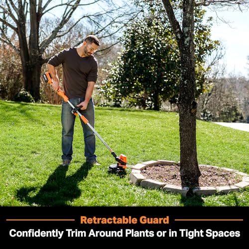 Image of LawnMaster CLGT2412S 24V 12 inch Cordless String Trimmer 2.0AH Battery & Charger Included