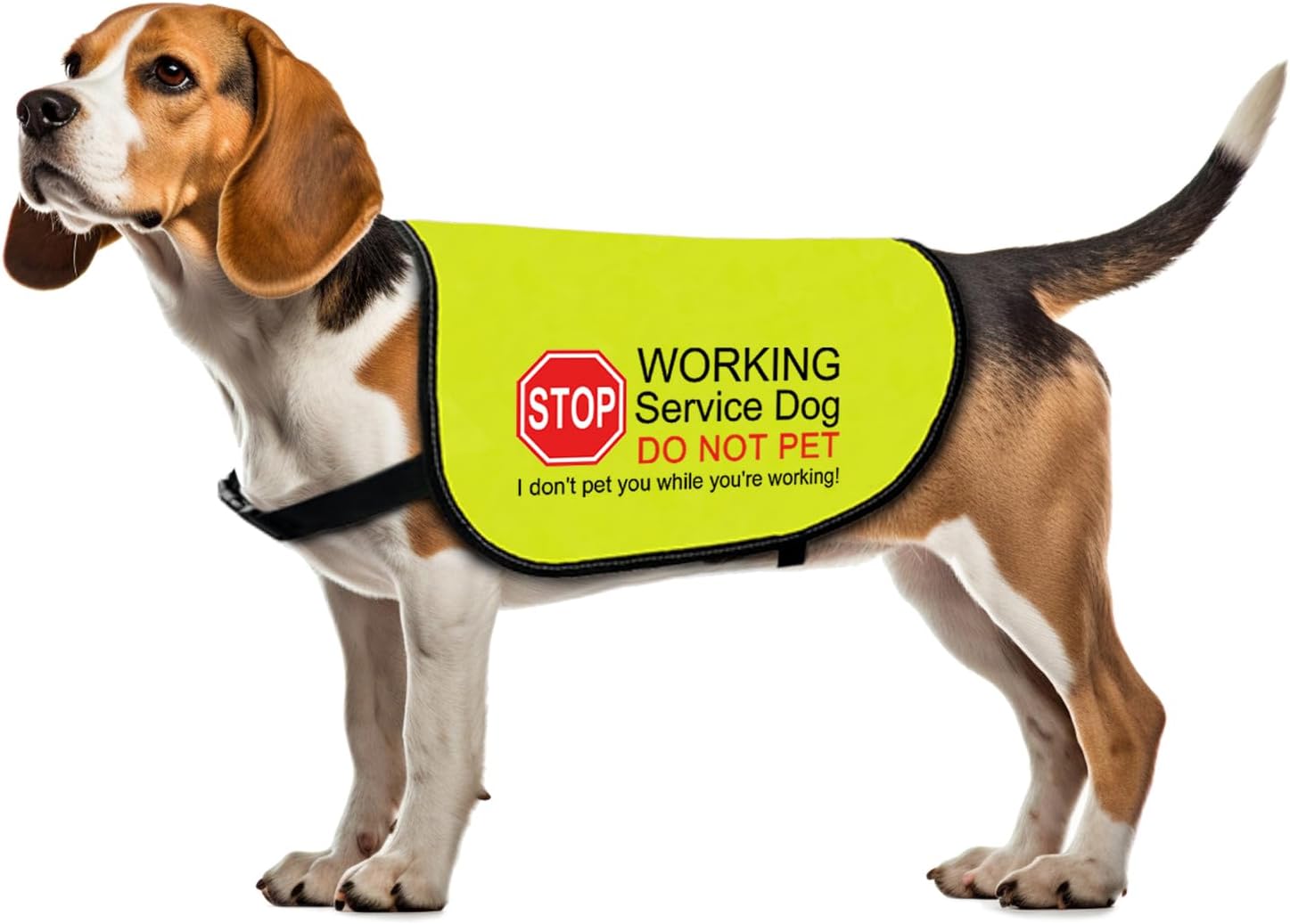 Service Dog Jacket Vest I Don't Pet You While You're Working Dog Harness Working