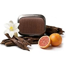 Labbyway Car Air Fresheners-Scent Diffuser for Car-Includes Fruit/Plants Scented Refills-Car Air Freshener vent clips-Long Lasting Air Freshener-Car Fresheners-Odor Eliminator-Champagne Gold