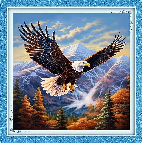 Image of Foxhool Beginners Cross Stitch Kits Stamped Full Range of Embroidery Kits for Adults DIY Cross Stitches kit Embroidery Patterns for Needlepoint kit-Lying Eagles 17.7x17.7 inch