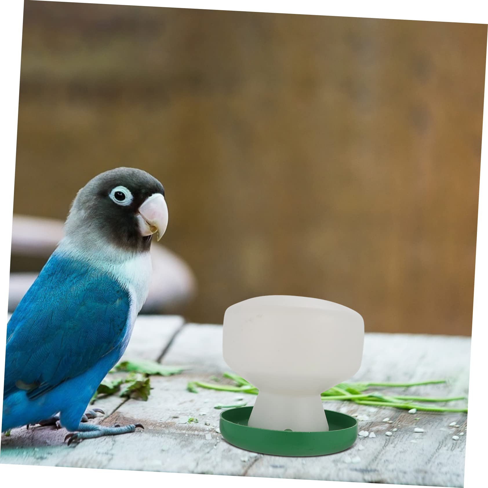BESPORTBLE 6pezzi Dispenser Automatico Per Uccelli Bottiglia Per Pappagalli e Uccelli Domestici Alimentatore Pratico Plastica Resistente