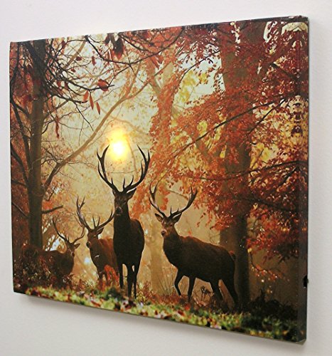 Banberry Designs 2527 Big Buck Lighted Canvas Print - White Tail Bucks In Forest - Wildlife Wall Art - Led Light Up Deer Picture Measures 15.75 Inch W X 11.75 Inch H thumb #1