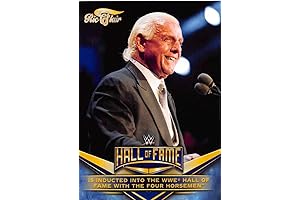30 for 30 Ric Flair 2018 Topps Heritage WWE Hall of Fame Tribute