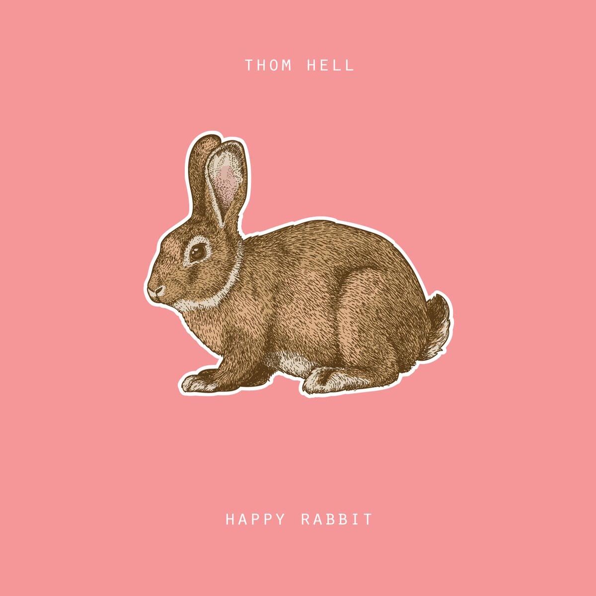 Happy Rabbit (vinyl) [VINYL]