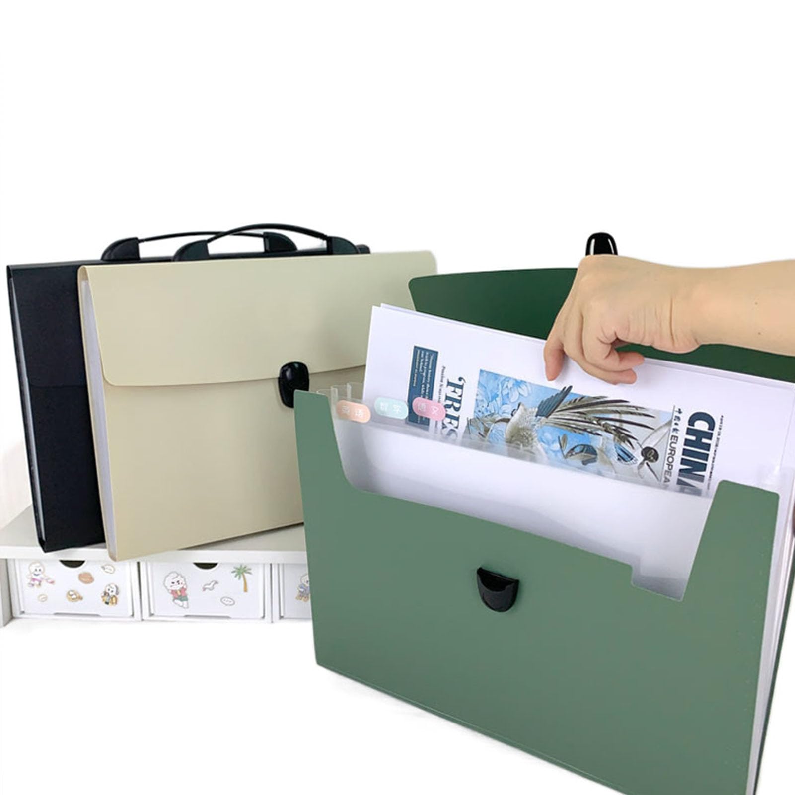 Set di 4 Organizzatori di Documenti Espandibili A4 - Cartelle Organizzatrici a 4 Colori con Tasche per Flashcard, Ricevute, Bollette e Documenti di Viaggio