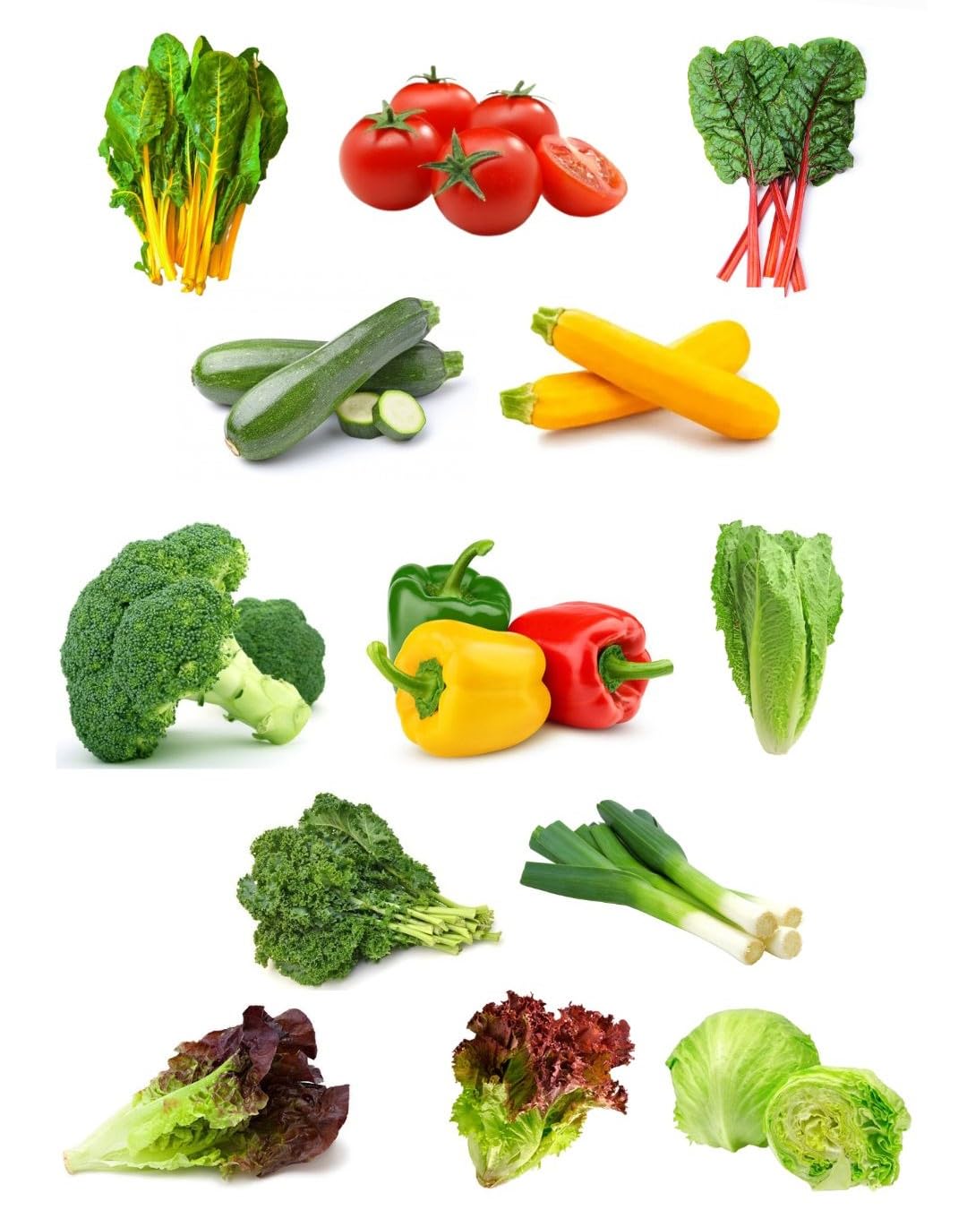 Dioart-Cfr-Exotic Vegetables Seeds Combo | 15 Varieties | 4000+ Seeds-4200+-Cmb=X108 (B0CNT7FG5S) Amazon Price History, Amazon Price Tracker