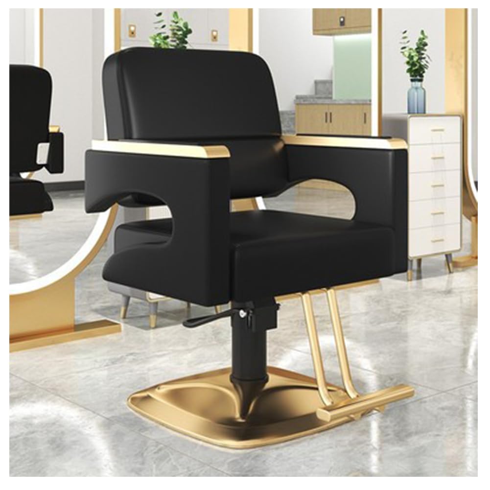 OZBMA Professional Hydraulic Hairdressing Chair with 360° Swivel for Salon, Barber, and Spa Comfort (B)