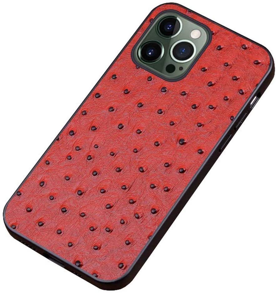 Coque en cuir d'autruche pour iPhone 12 Pro, étui de luxe rouge protecteur