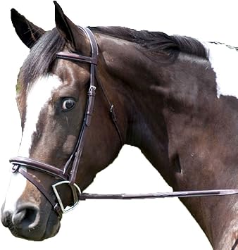 Elite High Raised Fancy Stitched Bridle