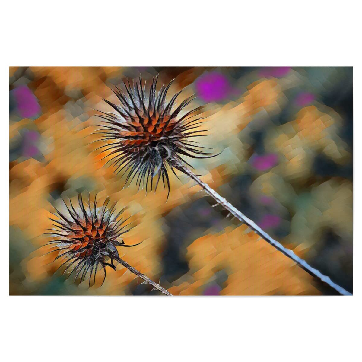 artboxONE Poster 90x60 cm Natur Stachelig hochwertiger Design Kunstdruck - Bild distel Autumn distel