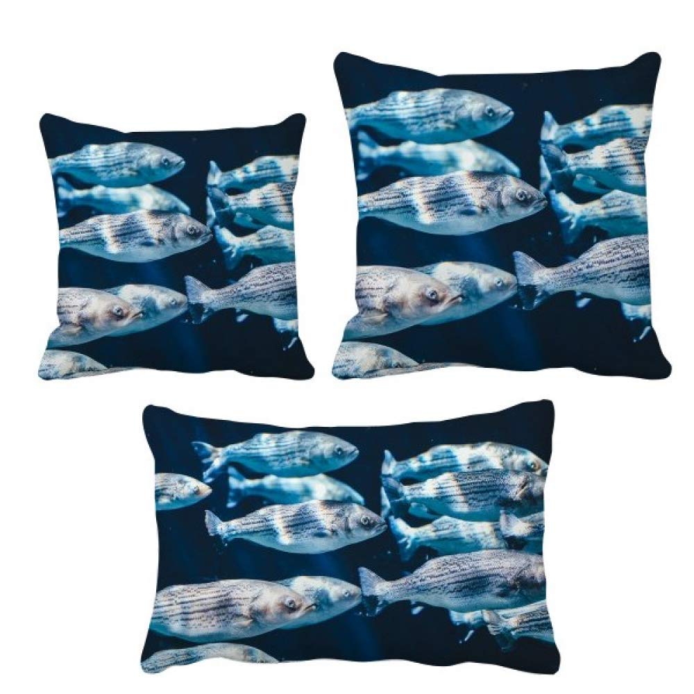 Housse de coussin poisson pour canapé ambiance marine cocooning