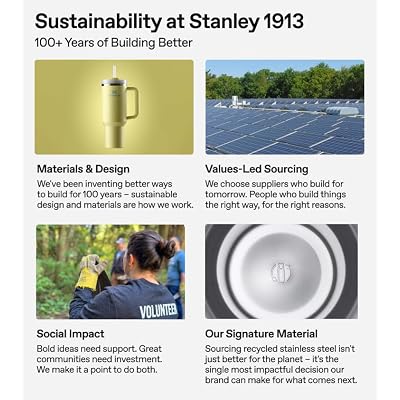Stanley IceFlow Stainless Steel Tumbler Vacuum Insulated Water Bottle for Home Office or Car Reusable Cup with Straw Leak-Proof Flip Cold for 12 Hours or Iced for 2