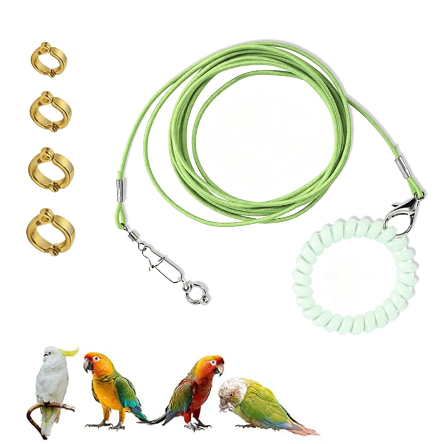 Bird Harness,Parrot Harness.4 Parrot Leg Rings.for Outdoor Training-image-42