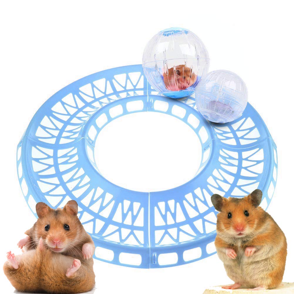 See full amazon price history chart for Sage Square Loop Pet Training Runway Exercise Track for Hamster/Dwarf/Gerbil/Mice/Mouse (Blue) (Ball Not Included) Sage Square Loop Pet Training Runway Exercise Track for Hamster/Dwarf/Gerbil/Mice/Mouse (Blue) (Ball Not Included) (B07JH69JT8) Amazon Price History, Amazon Price Tracker