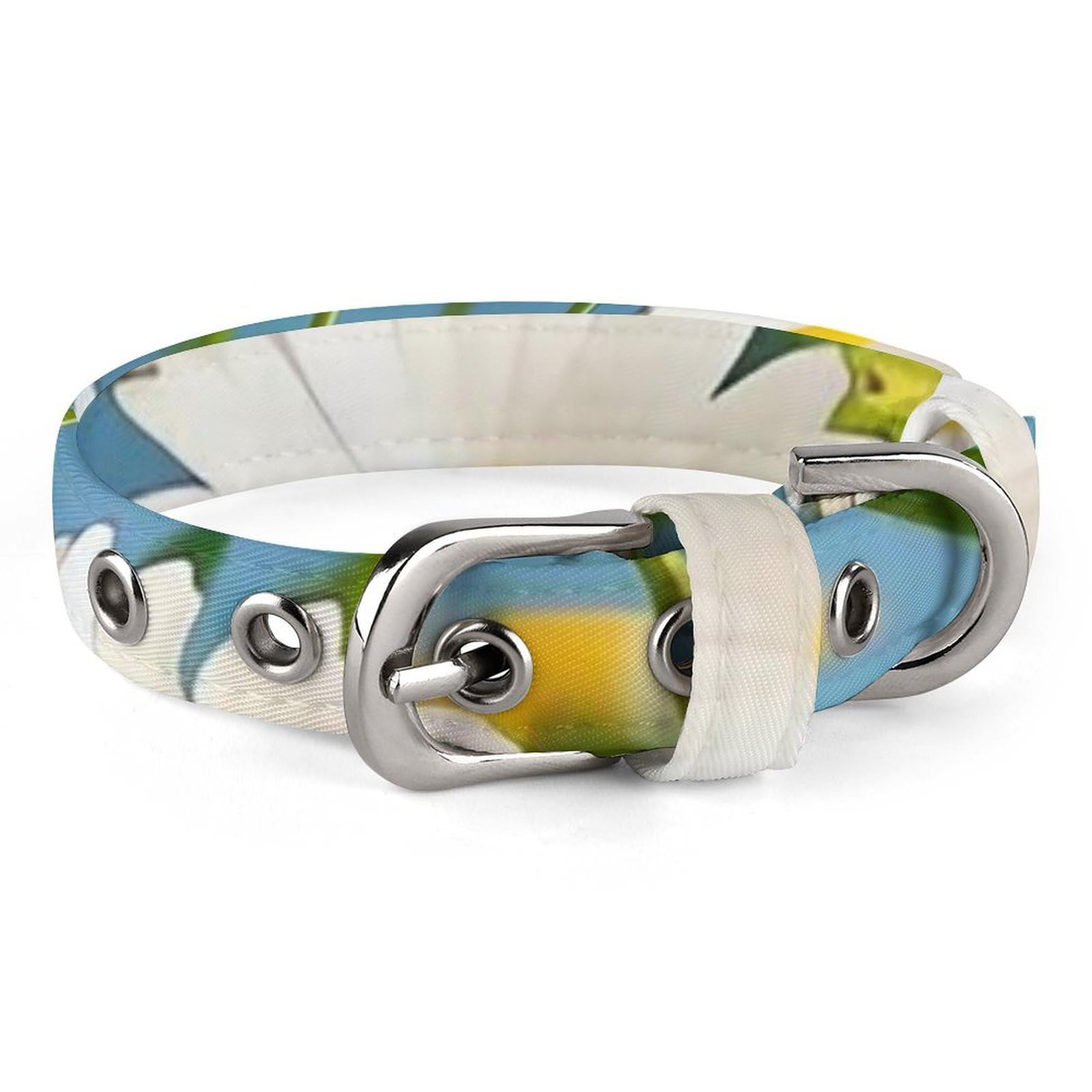 Colliers pour chiens et chats de moyenne taille réglable blanc