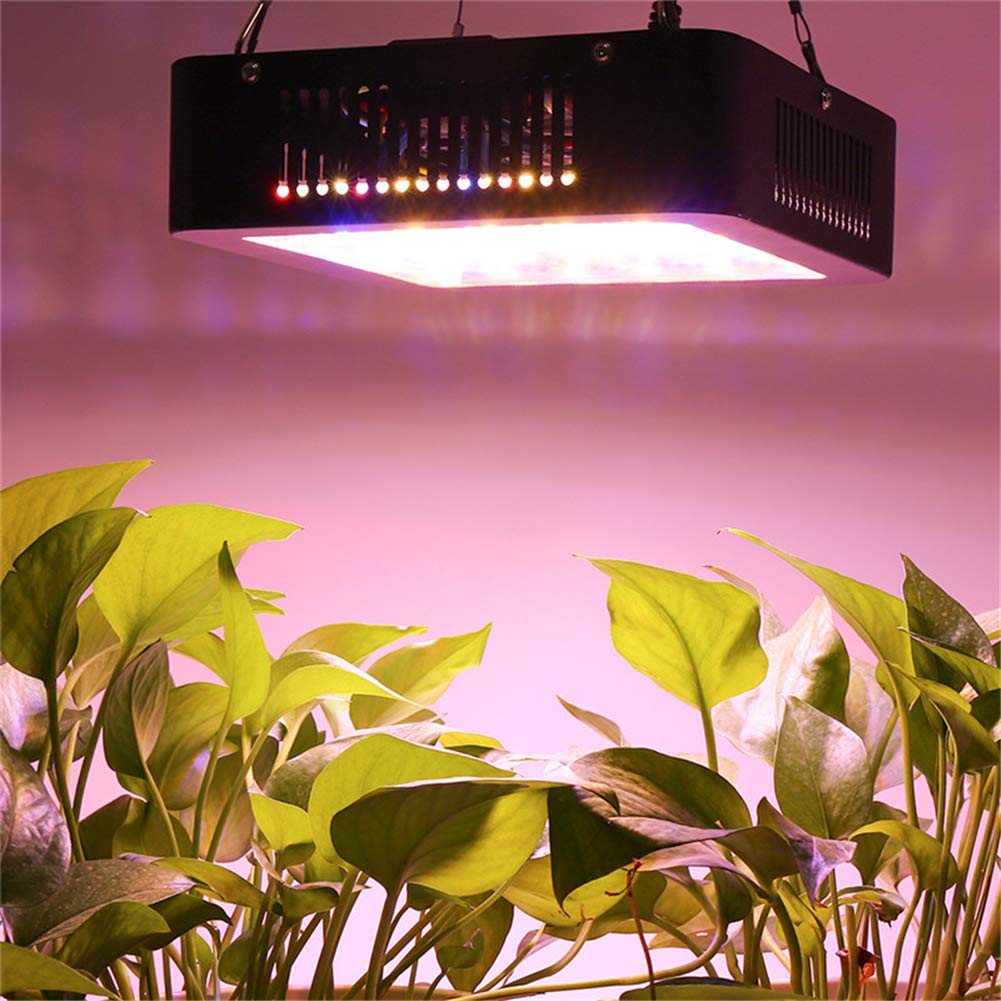 600 W Lámpara de Planta, espectro completo doble chip panel LED planta crecer accesorios ligeros para de interior vivero de flores de frutas verduras hidropónico crece la tienda Fitolampy