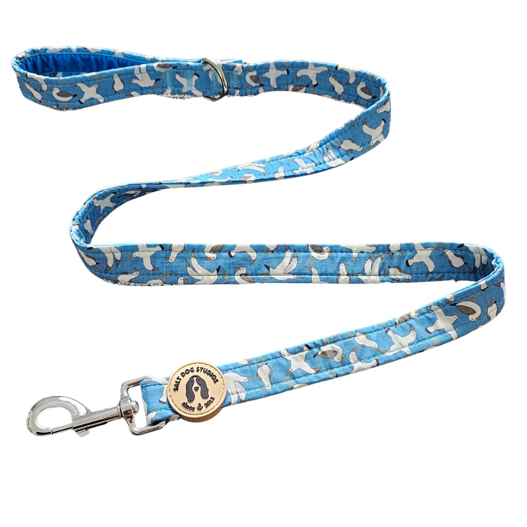 Coastal Dog Lead –Soft Velvet Handle Dog Lead for Small, Medium, & Large Dogs – by Salt Dog Studios (Seagull, 1")