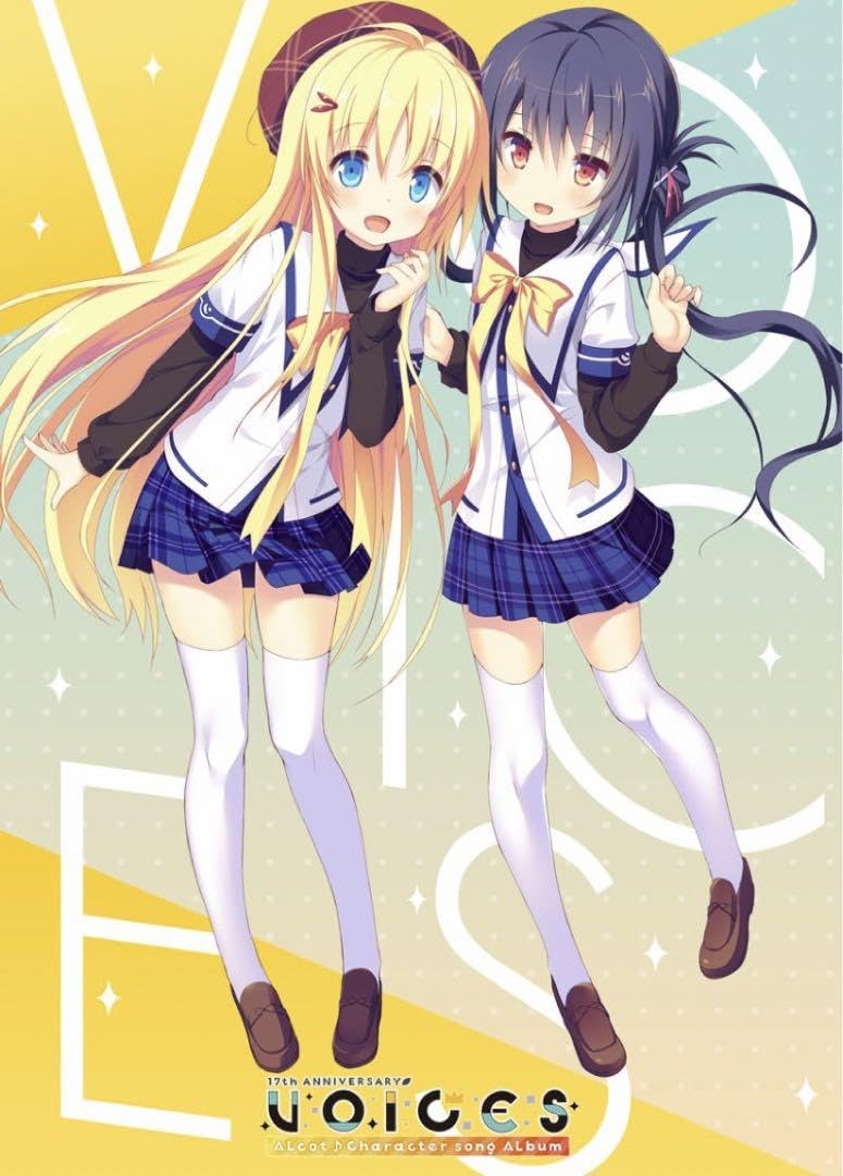 Amazon.co.jp: ALcot17周年 アルバム Voices B2ダブルスエード 