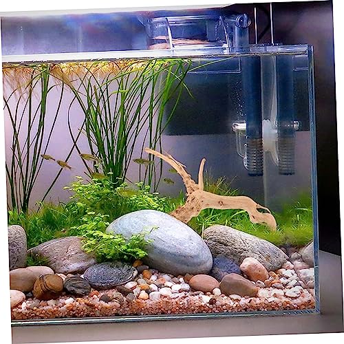 Bois Naturel pour Aquarium : 4 Décorations Uniques pour Terrarium et Poissons - 4