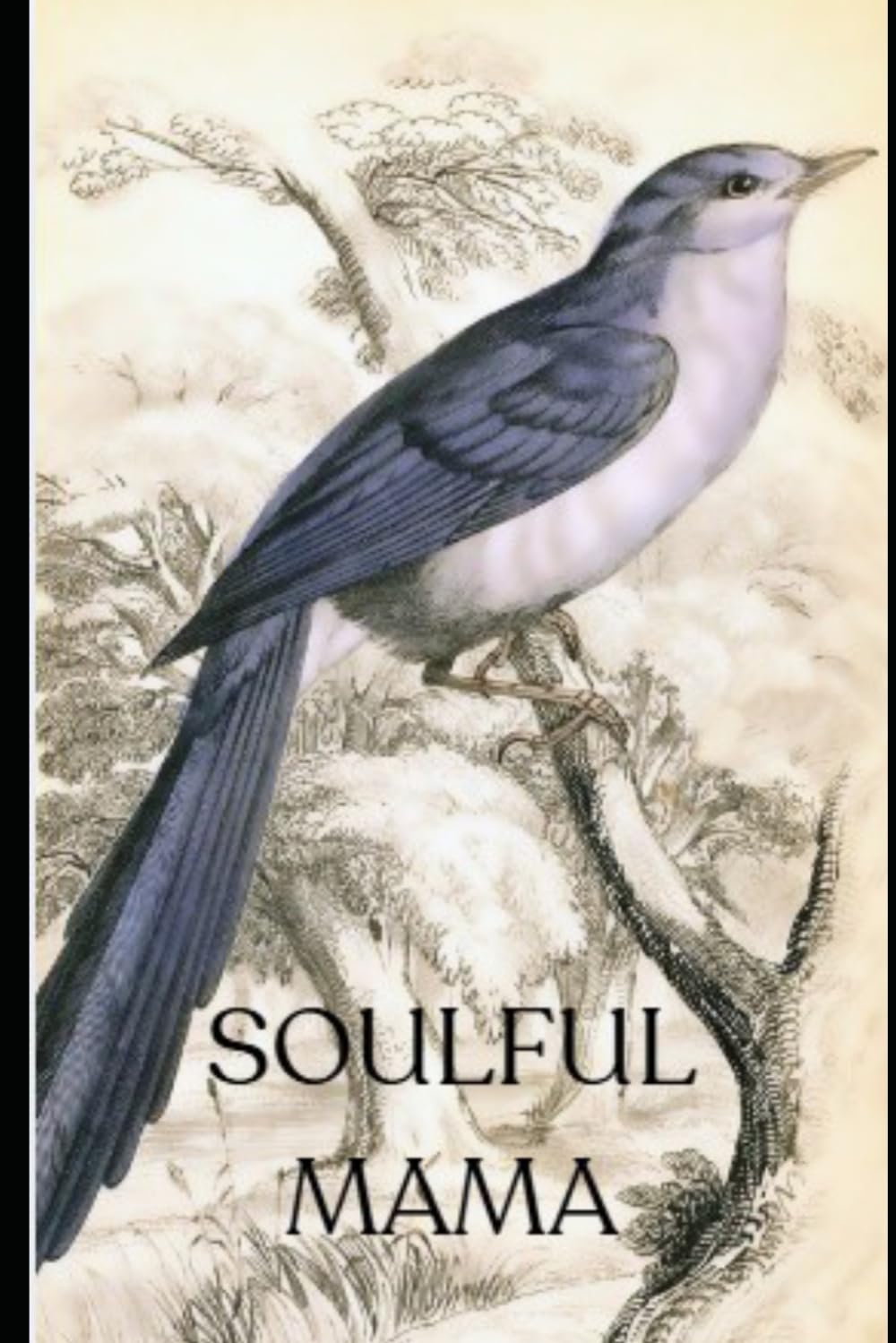 Soulful Mama