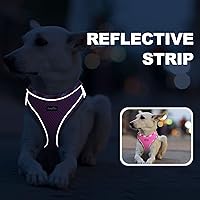 Vista 5 de Arnés para perro con correa, arnés reflectante ajustable sin tirones con chaleco acolchado grueso para perros extrapequeñospequeños y medianos