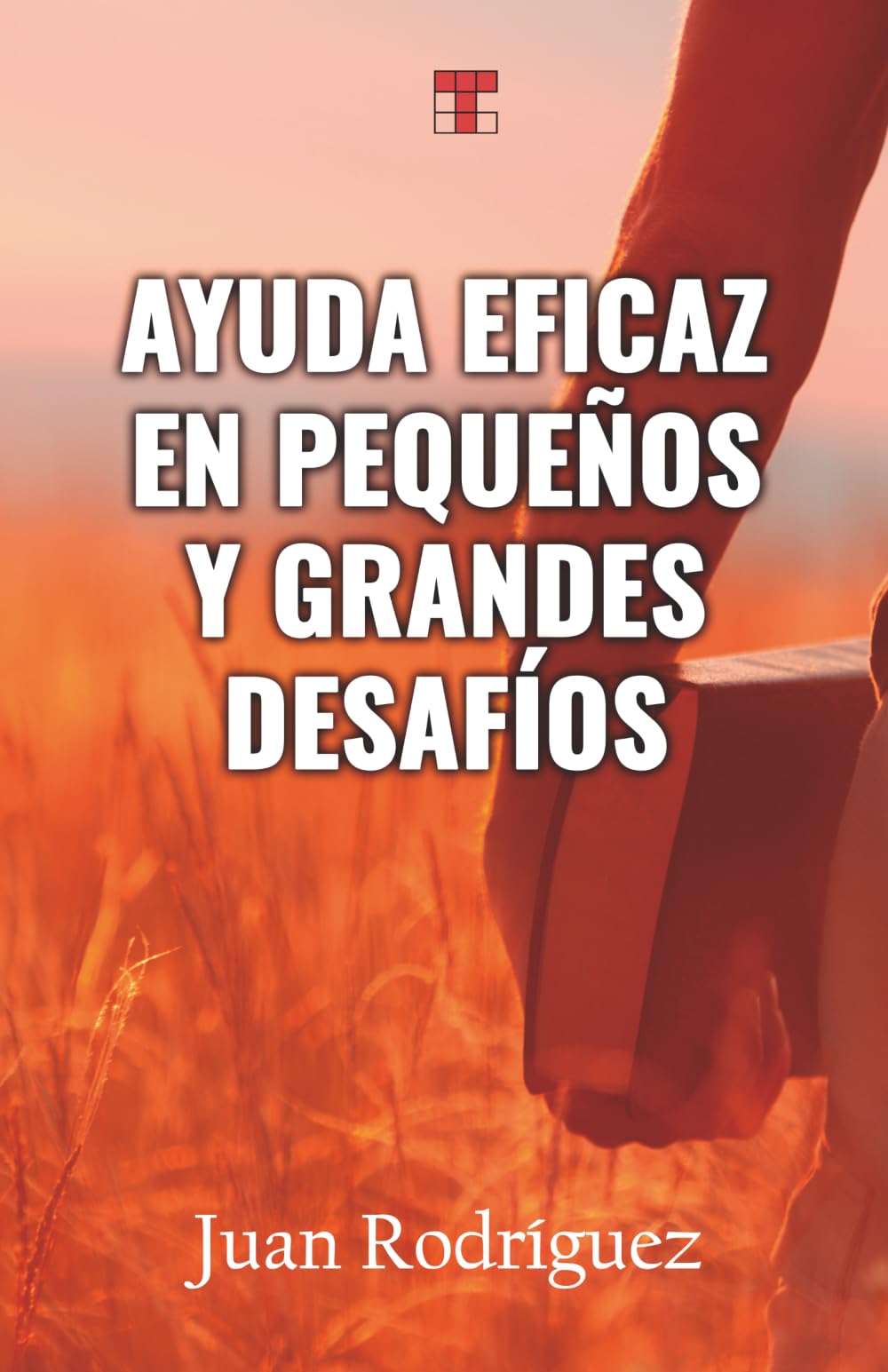 Ayuda eficaz en pequeños y grandes desafíos