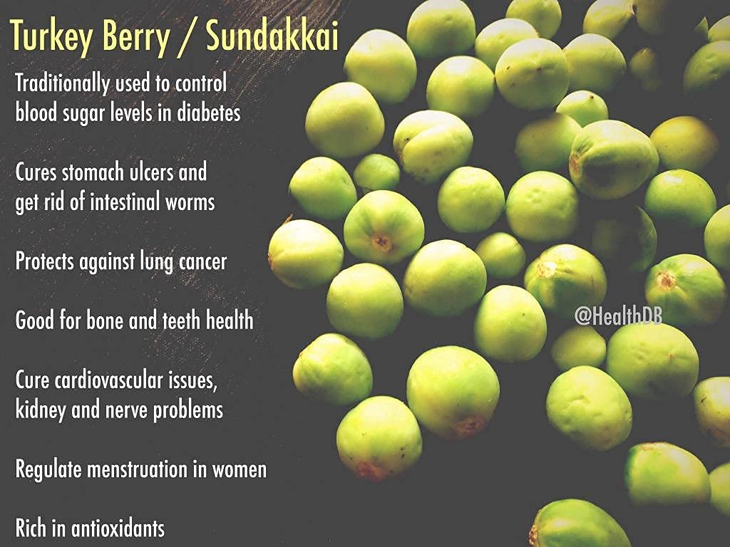 Veena Seema Sun Dried Turkey Berry, 100 Grams (sundakkai Vathal)