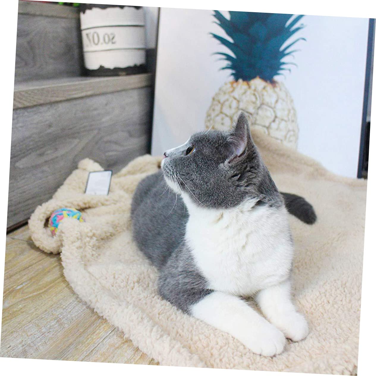 HEMOTON Manta para Gatos De Felpa Extra Alfombra para Mascotas Cómoda Cojín para Dormir para Dormitorio De Gato