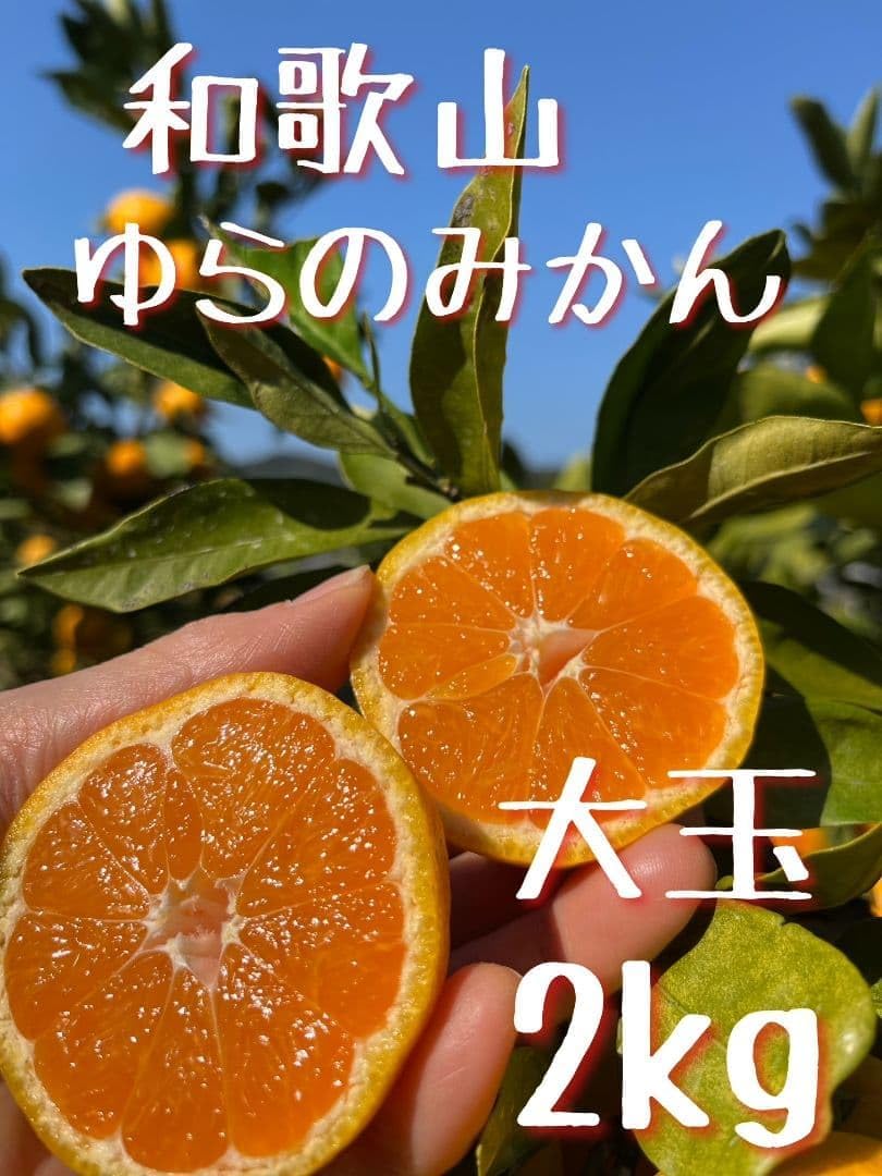 和歌山県由良町産 温州みかん（早生みかん、中生みかん）大玉2kgkg