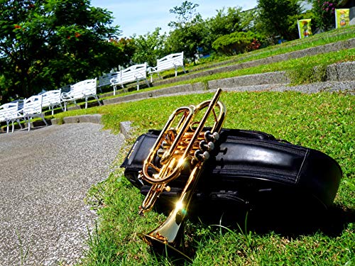 CarolBrass Bb Cornet CCR-105, Beginner Long Bell Cornet, American Styled Bell, Amazon Exclusive - Thumbnail 3